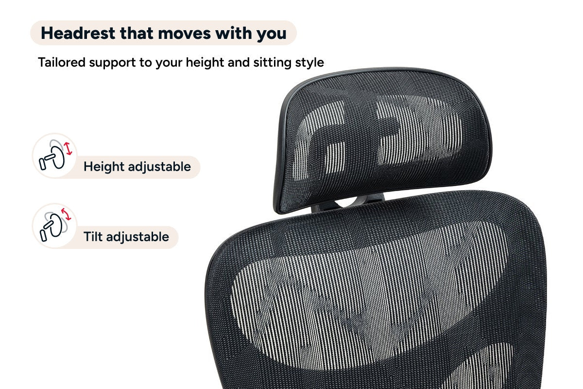 Ergolux EZ11 Ergonomic Mesh Office Chair with Footrest (Black)
