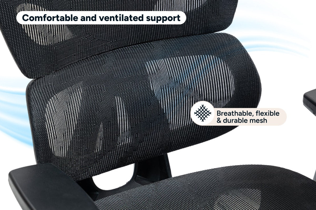 Ergolux EZ11 Ergonomic Mesh Office Chair with Footrest (Black)