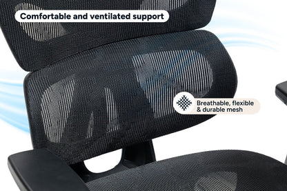Ergolux EZ11 Ergonomic Mesh Office Chair with Footrest (Black)