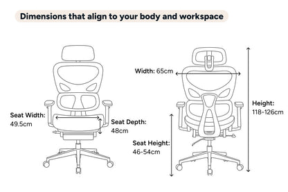 Ergolux EZ11 Ergonomic Mesh Office Chair with Footrest (Black)