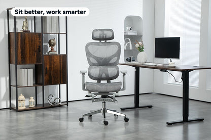 Ergolux EZ11 Ergonomic Office Chair with Footrest (Grey)