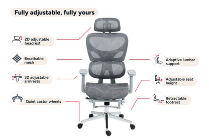Ergolux EZ11 Ergonomic Office Chair with Footrest (Grey)