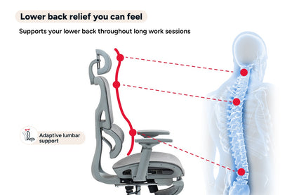 Ergolux EZ11 Ergonomic Office Chair with Footrest (Grey)