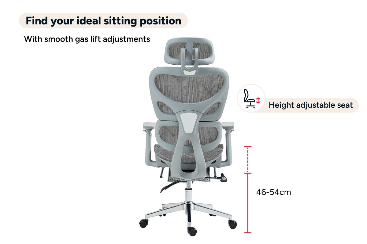 Ergolux EZ11 Ergonomic Office Chair with Footrest (Grey)