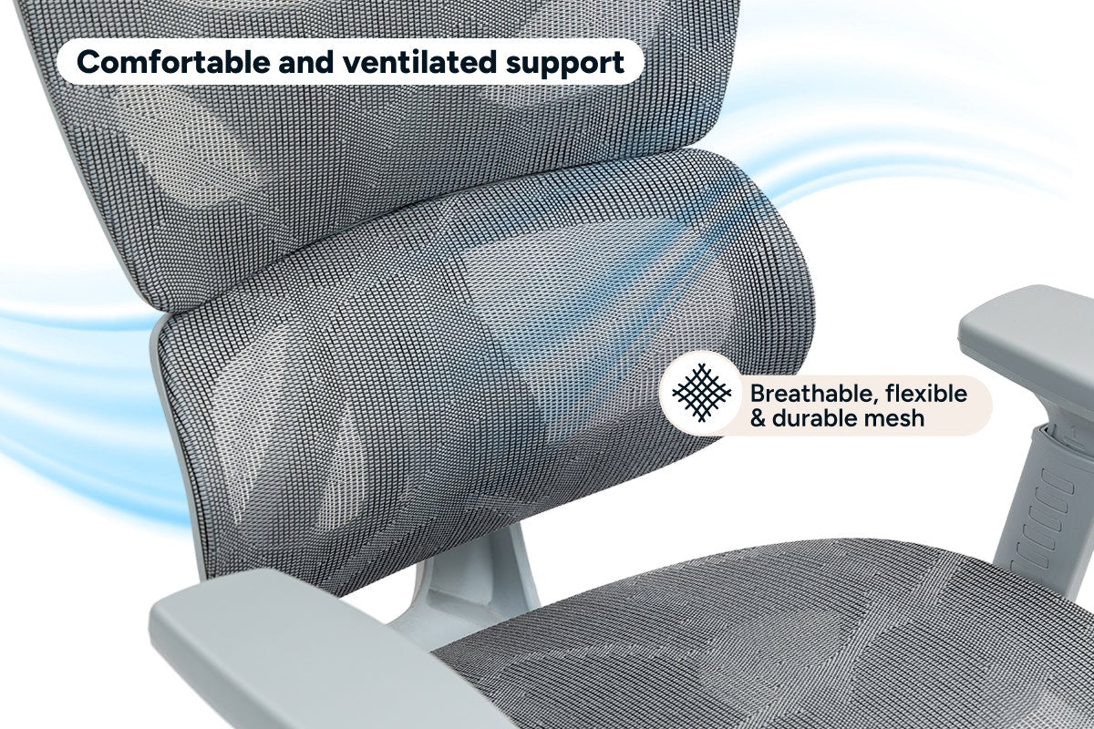 Ergolux EZ11 Ergonomic Office Chair with Footrest (Grey)