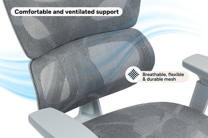 Ergolux EZ11 Ergonomic Office Chair with Footrest (Grey)