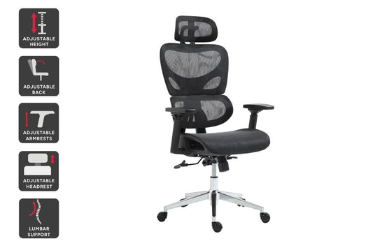 Ergolux Plus Ergonomic Mesh Office Chair (Black)
