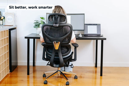 Ergolux Plus Ergonomic Mesh Office Chair (Black)