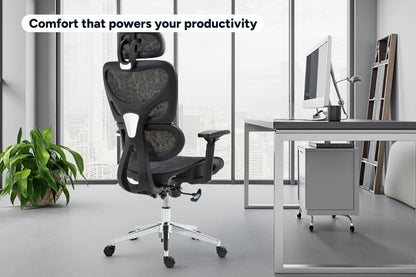 Ergolux Plus Ergonomic Mesh Office Chair (Black)