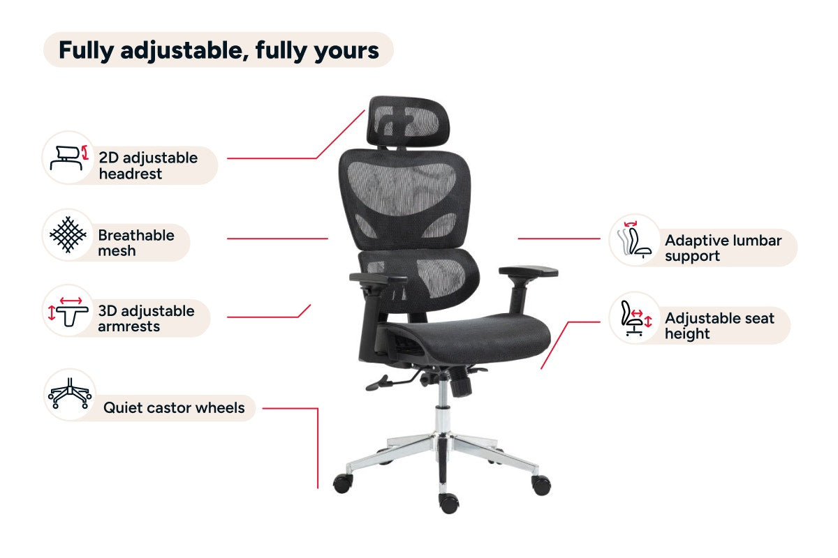 Ergolux Plus Ergonomic Mesh Office Chair (Black)