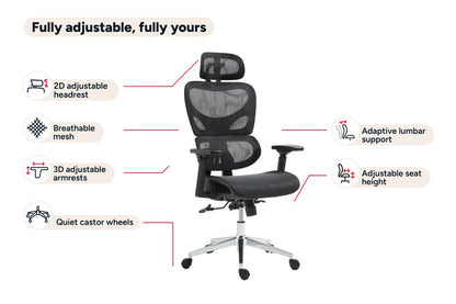 Ergolux Plus Ergonomic Mesh Office Chair (Black)