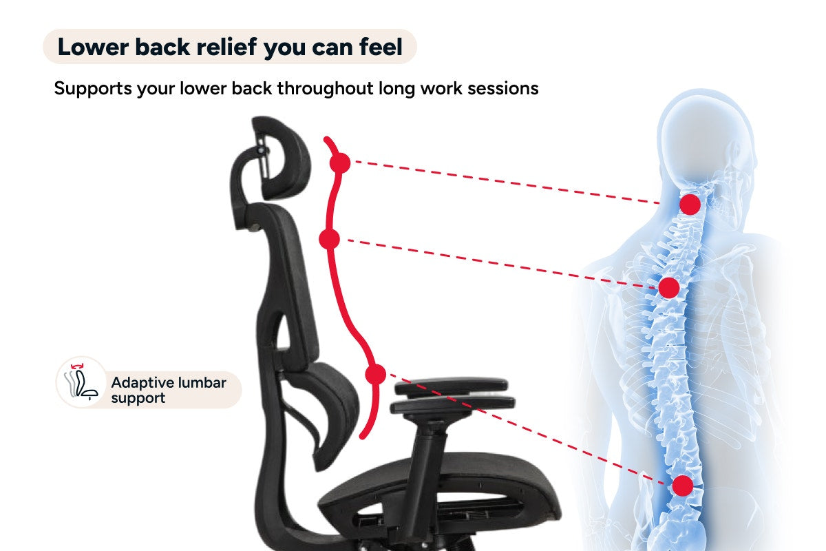 Ergolux Plus Ergonomic Mesh Office Chair (Black)