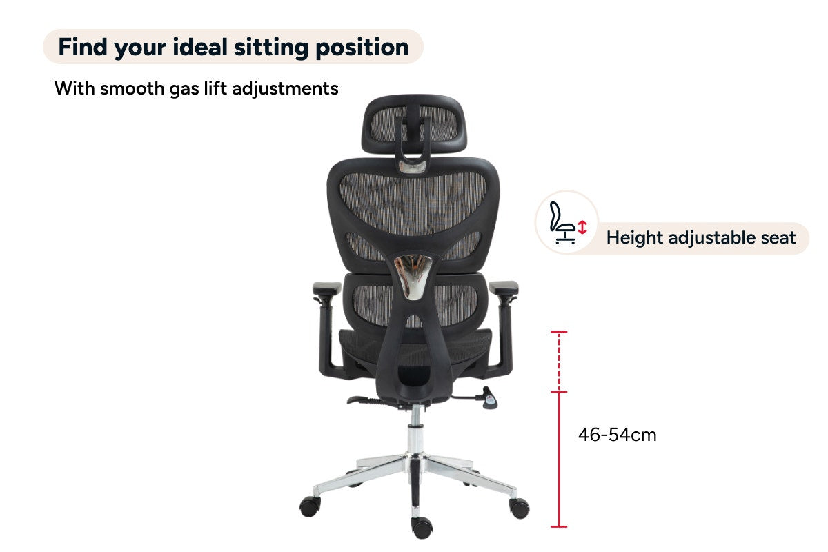 Ergolux Plus Ergonomic Mesh Office Chair (Black)