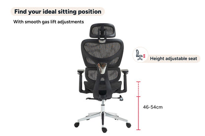 Ergolux Plus Ergonomic Mesh Office Chair (Black)
