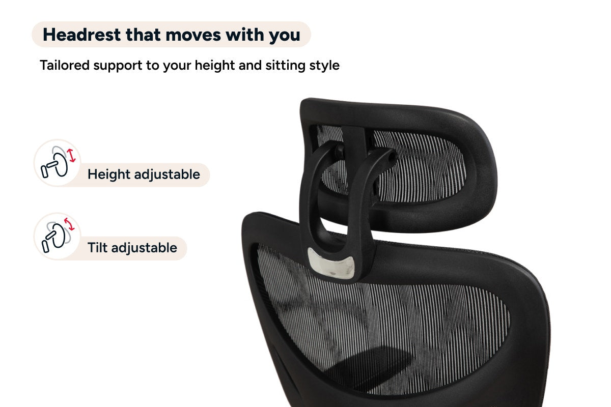 Ergolux Plus Ergonomic Mesh Office Chair (Black)