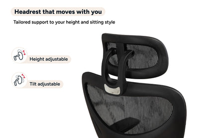 Ergolux Plus Ergonomic Mesh Office Chair (Black)