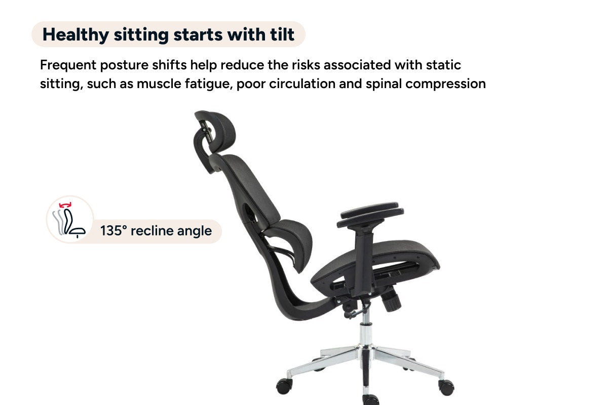 Ergolux Plus Ergonomic Mesh Office Chair (Black)