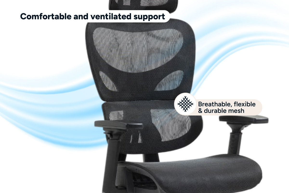 Ergolux Plus Ergonomic Mesh Office Chair (Black)