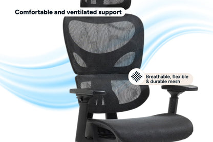 Ergolux Plus Ergonomic Mesh Office Chair (Black)