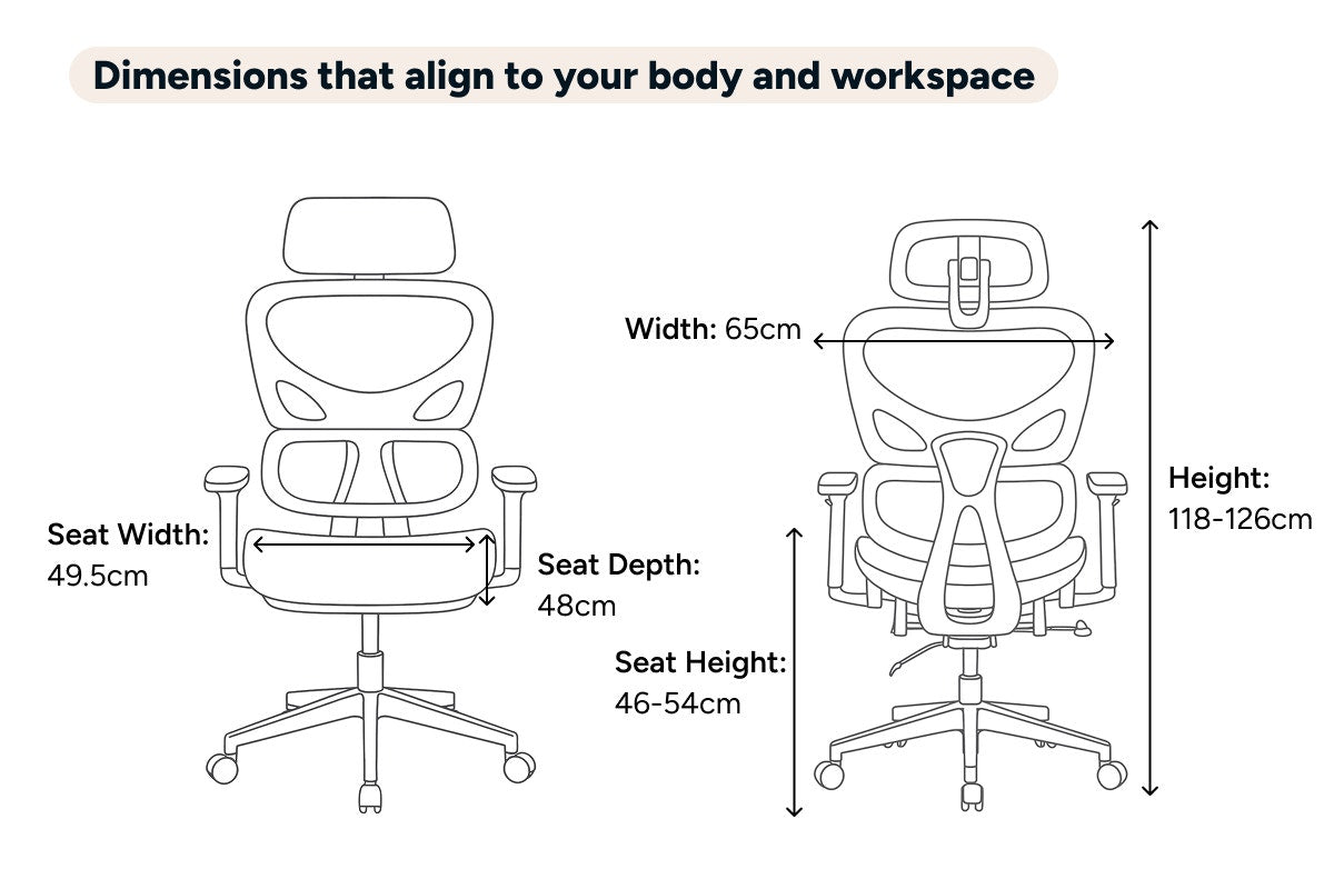 Ergolux Plus Ergonomic Mesh Office Chair (Black)
