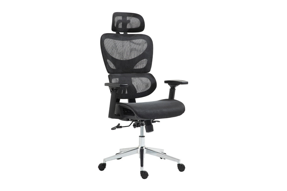 Ergolux Plus Ergonomic Mesh Office Chair (Black)