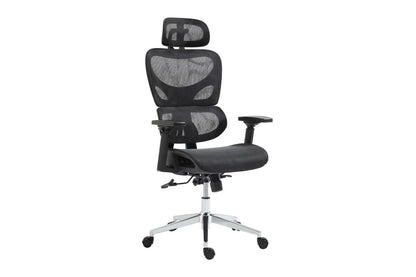 Ergolux Plus Ergonomic Mesh Office Chair (Black)