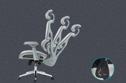 Ergolux EZ11 Ergonomic Office Chair with Dynamic Lumbar Support (Grey)