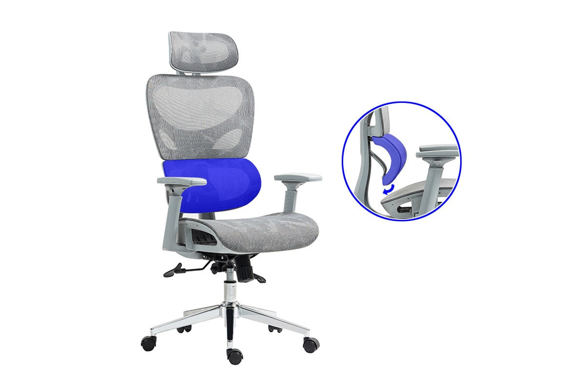 Ergolux EZ11 Ergonomic Office Chair with Dynamic Lumbar Support (Grey)