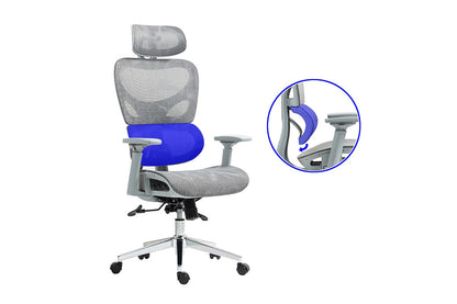 Ergolux EZ11 Ergonomic Office Chair with Dynamic Lumbar Support (Grey)