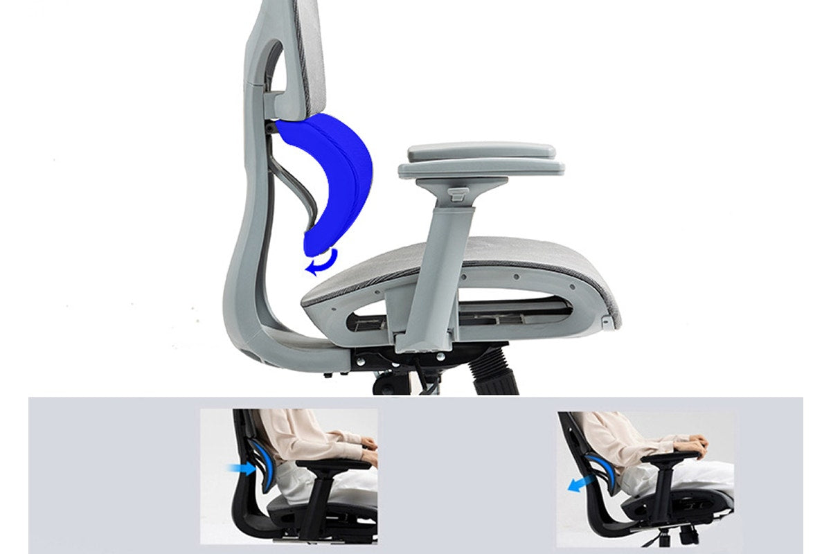 Ergolux EZ11 Ergonomic Office Chair with Dynamic Lumbar Support (Grey)