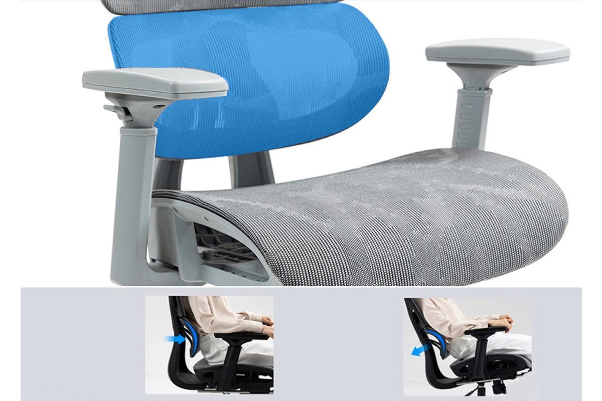Ergolux EZ11 Ergonomic Office Chair with Dynamic Lumbar Support (Grey)