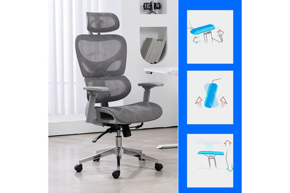 Ergolux EZ11 Ergonomic Office Chair with Dynamic Lumbar Support (Grey)