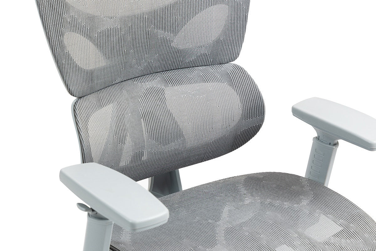 Ergolux EZ11 Ergonomic Office Chair with Dynamic Lumbar Support (Grey)