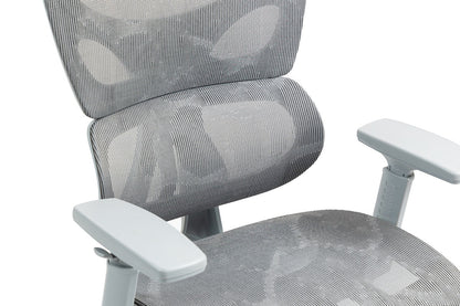 Ergolux EZ11 Ergonomic Office Chair with Dynamic Lumbar Support (Grey)