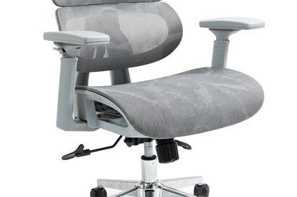 Ergolux EZ11 Ergonomic Office Chair with Dynamic Lumbar Support (Grey)