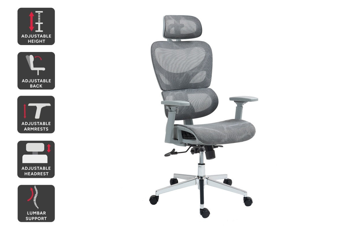 Ergolux EZ11 Ergonomic Office Chair with Dynamic Lumbar Support (Grey)