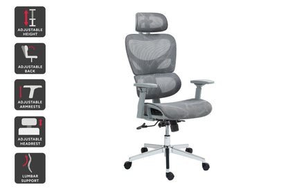 Ergolux EZ11 Ergonomic Office Chair with Dynamic Lumbar Support (Grey)
