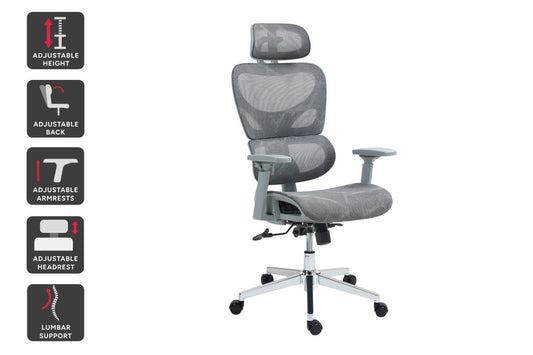 Ergolux EZ11 Ergonomic Office Chair with Dynamic Lumbar Support (Grey)