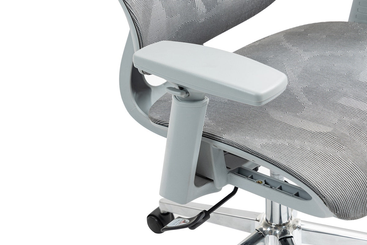 Ergolux EZ11 Ergonomic Office Chair with Dynamic Lumbar Support (Grey)