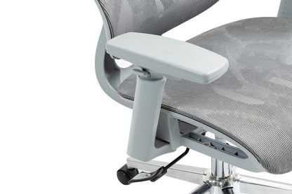 Ergolux EZ11 Ergonomic Office Chair with Dynamic Lumbar Support (Grey)