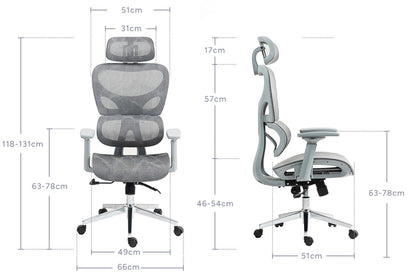Ergolux EZ11 Ergonomic Office Chair with Dynamic Lumbar Support (Grey)