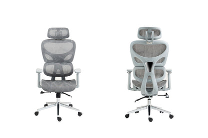 Ergolux EZ11 Ergonomic Office Chair with Dynamic Lumbar Support (Grey)
