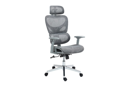 Ergolux EZ11 Ergonomic Office Chair with Dynamic Lumbar Support (Grey)