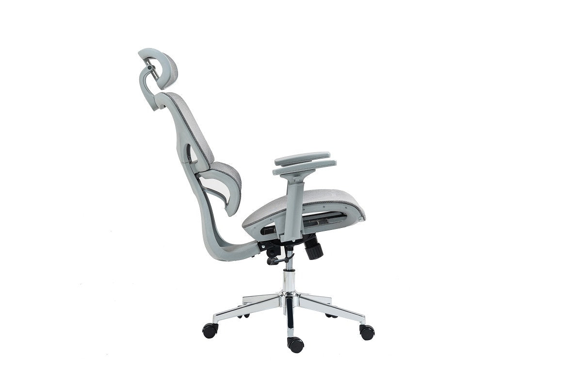Ergolux EZ11 Ergonomic Office Chair with Dynamic Lumbar Support (Grey)