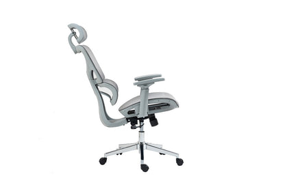 Ergolux EZ11 Ergonomic Office Chair with Dynamic Lumbar Support (Grey)