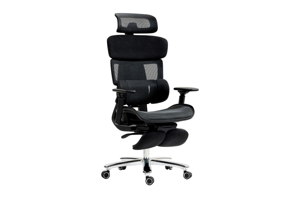 Ergolux Pro Max Ergonomic Office Chair with Footrest (Black)