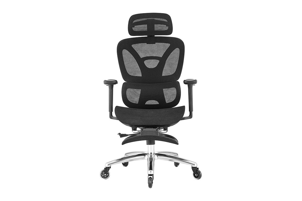 Ergolux Pro Ergonomic Office Chair with Footrest (Black)
