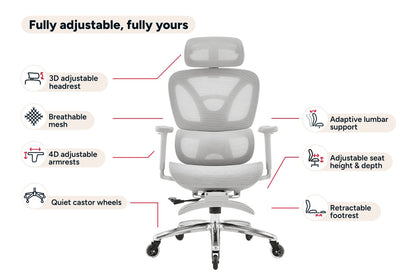 Ergolux Pro Ergonomic Mesh Office Chair with Footrest (Grey)