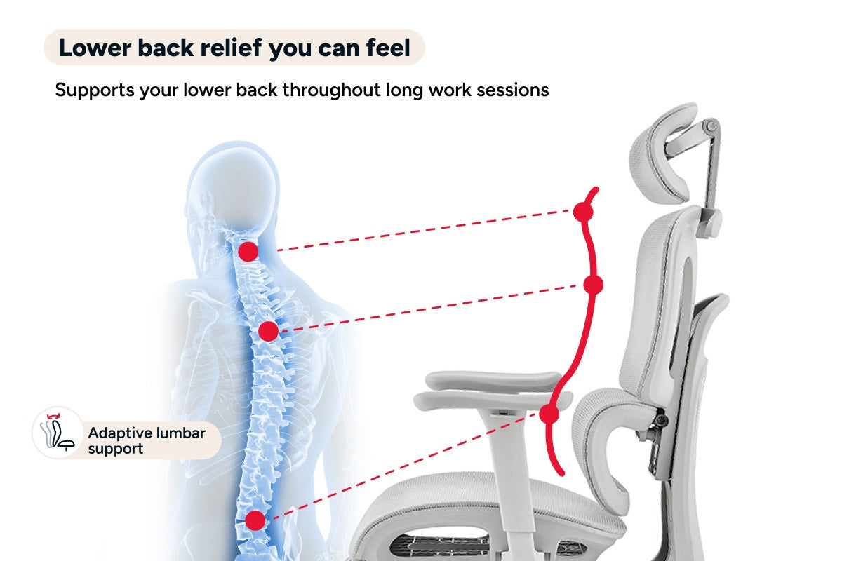 Ergolux Pro Ergonomic Mesh Office Chair with Footrest (Grey)