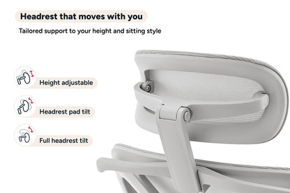 Ergolux Pro Ergonomic Mesh Office Chair with Footrest (Grey)